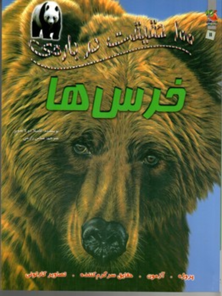 تصویر  100 حقیقت درباره ی - خرس‌ها (رحلی-شمیز) 
