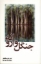 تصویر  جنگل وارونه (رقعی-شمیز)