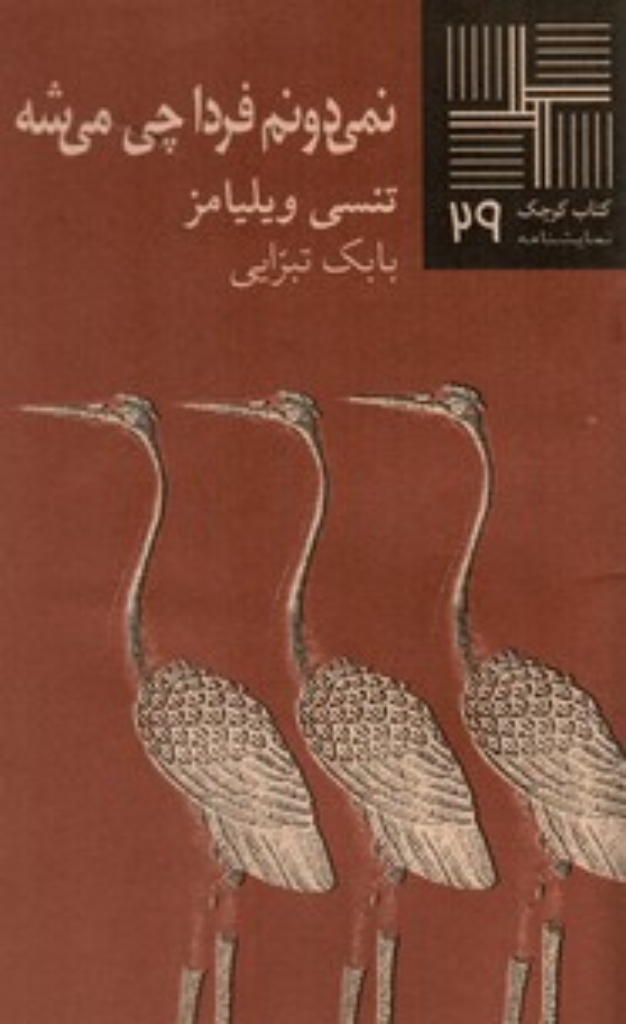 تصویر  کتاب کوچک 29 - نمی‌دونم فردا چی میشه (پالتویی-شمیز)