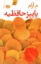 تصویر  پاییز حافظیه (رقعی-شمیز)