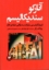 تصویر  آنارکو سندیکالیسم (رقعی-شمیز)