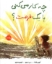 تصویر  چه کار میکنی با یک فرصت (رحلی-گالینگور)