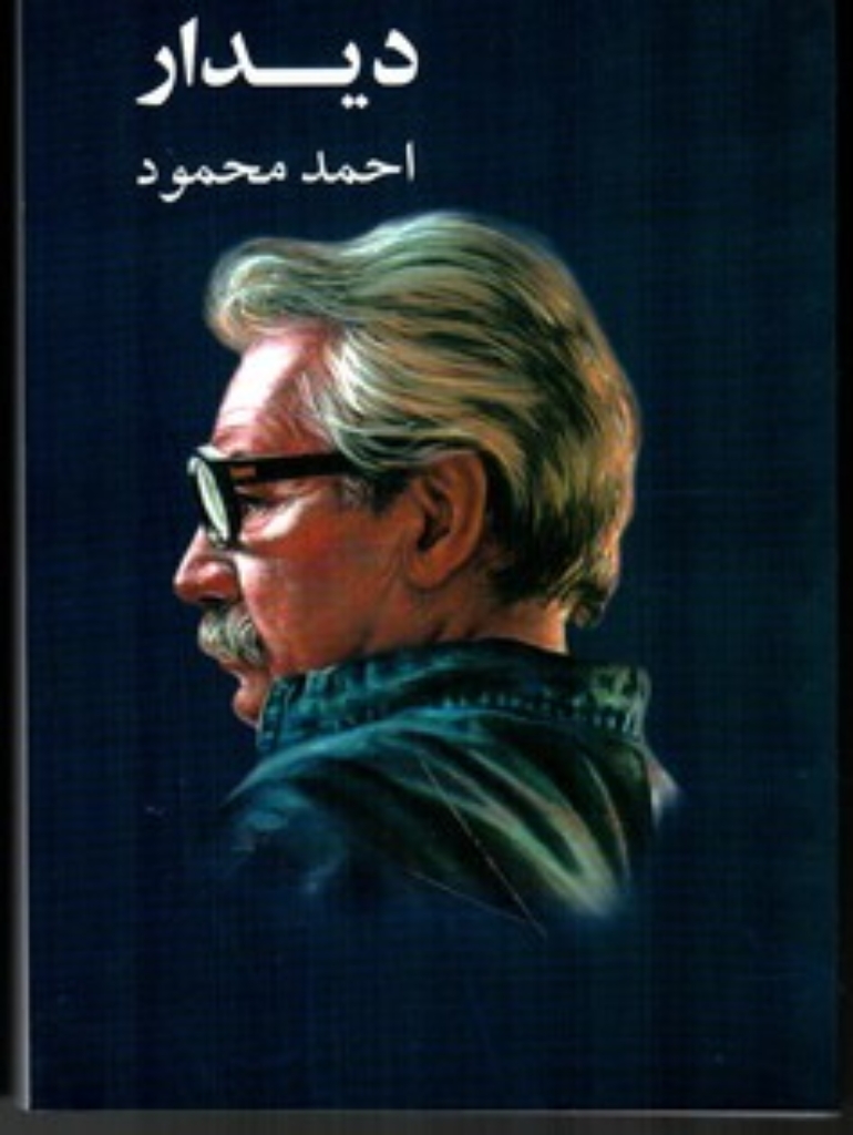 تصویر  دیدار (رقعی-شمیز)