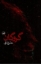 تصویر  گروگان (رقعی-شمیز)