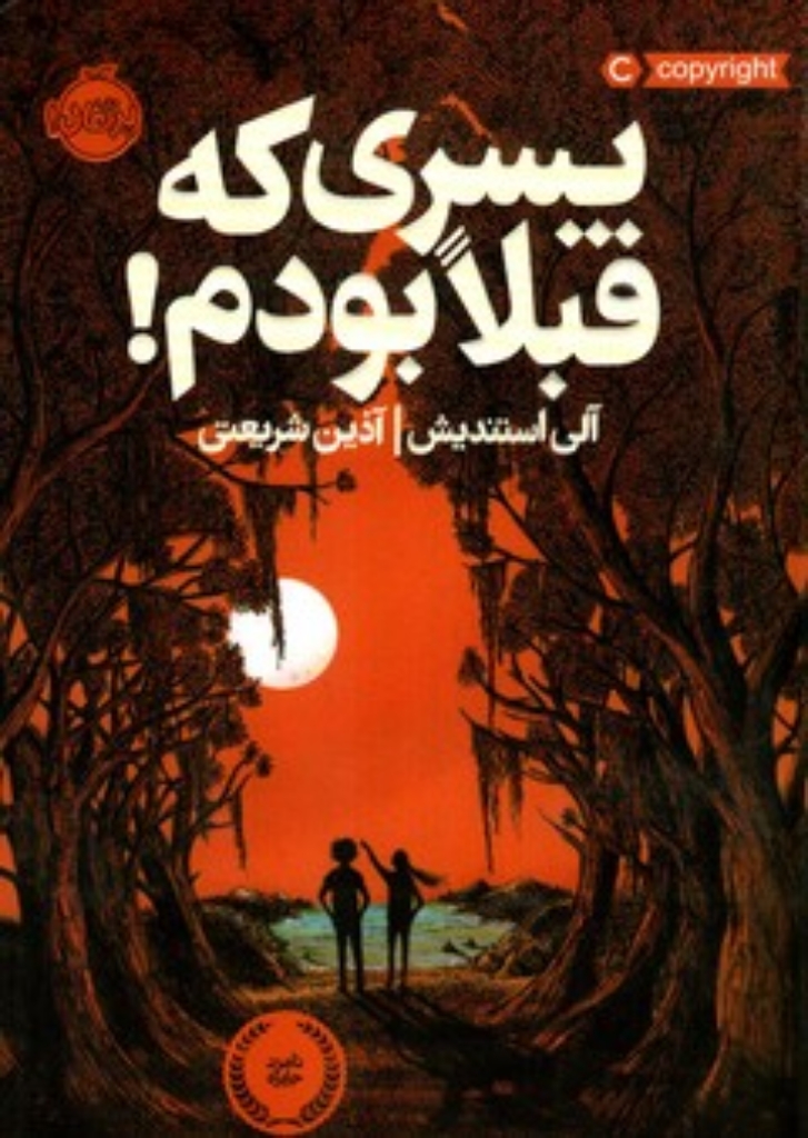 تصویر  پسری که قبلا بودم (رقعی-شمیز)