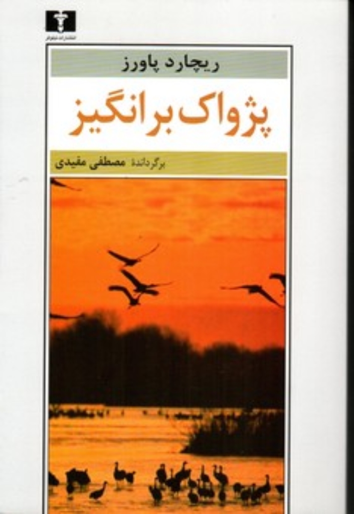 تصویر  پژواک برانگیز (رقعی-شمیز)