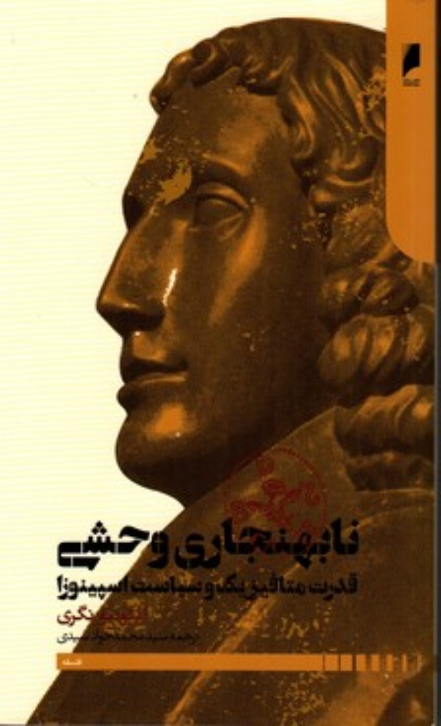 تصویر  نا بهنجاری وحشی - قدرت متافیزیک و سیاست اسپینوزا (رقعی-شمیز)
