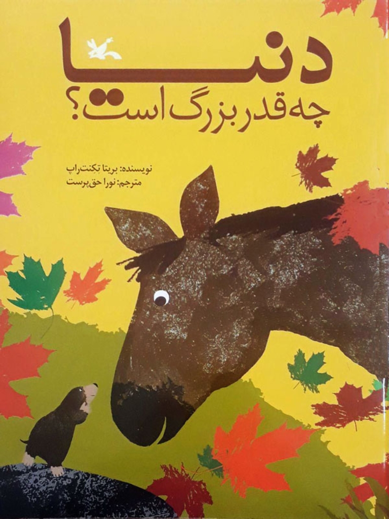 تصویر  دنیا چه قدر بزرگ است (وزیری-شمیز)