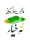 تصویر  ته خیار (رقعی-شمیز)