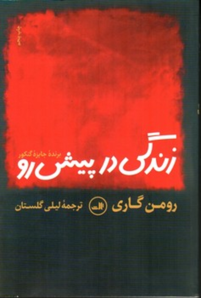 تصویر  زندگی در پیش رو (رقعی-شمیز)