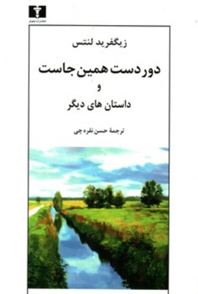 تصویر  دور دست همین جاست (رقعی-شمیز)