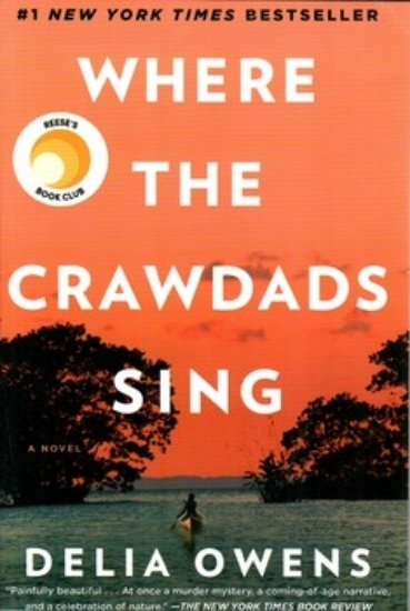 تصویر  where the crawdads sing ‌(رقعی-شمیز)