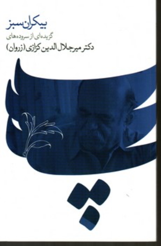 تصویر  بیکران سبز (رقعی-شمیز)