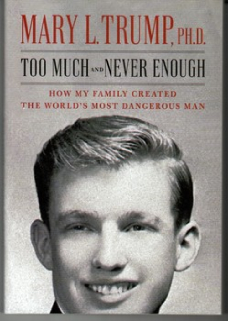 تصویر  خیلی زیاد اما همیشه نا کافی - too much and never enough (رقعی-شمیز)