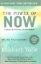 تصویر  The power of now (رقعی-شمیز)