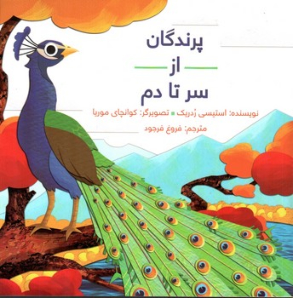 تصویر  پرندگان از سر تا دم (خشتی بزرگ-شمیز)