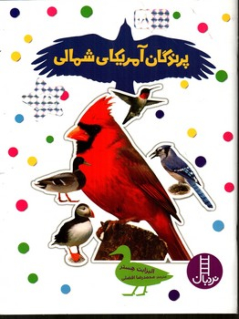 تصویر  بچسبان و بیاموز 18 - پرندگان آمریکای شمالی (رحلی-شمیز)