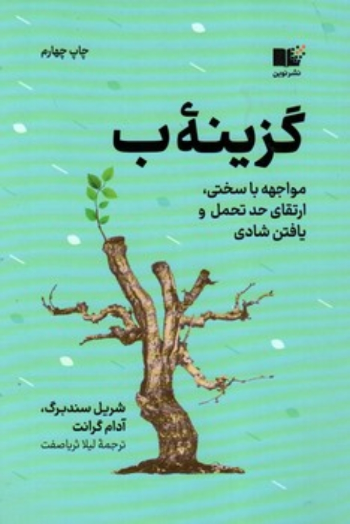 تصویر  گزینه ب (رقعی-شمیز)