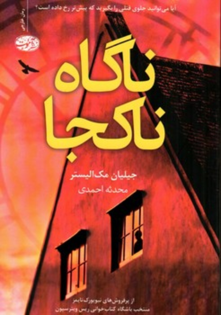 تصویر  ناگاه ناکجا (رقعی-شمیز)