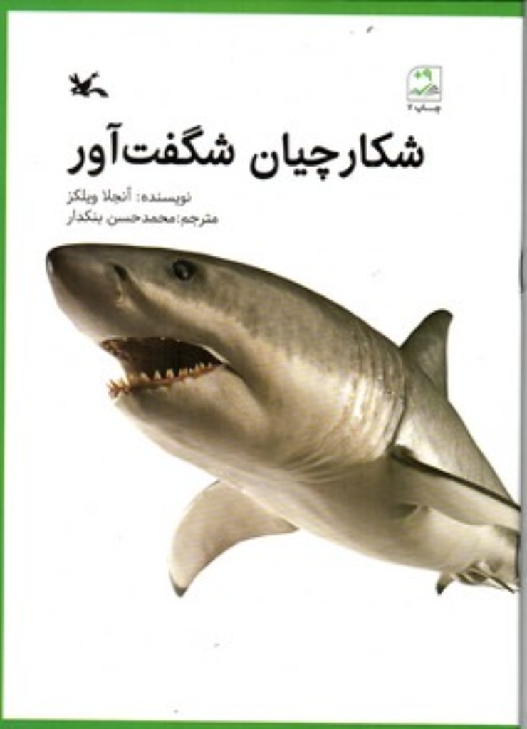 تصویر  شکارچیان شگفت آور (رقعی - شمیز)