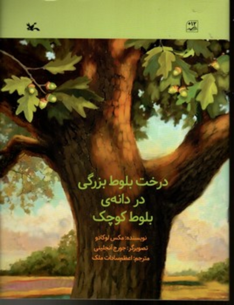 تصویر  درخت بلوط بزرگی در دانه بلوط کوچک (رحلی-شمیز)