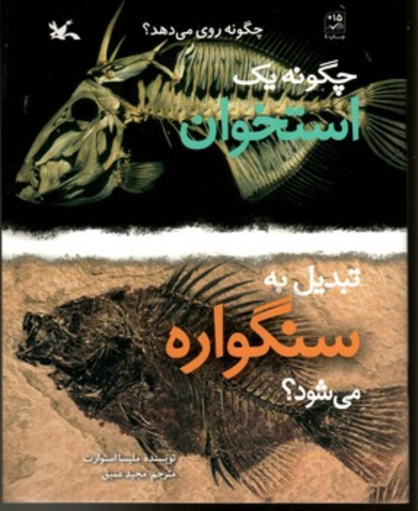 تصویر  چگونه یک استخوان تبدیل به سنگواره می شود؟ (رحلی-شمیز)