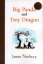 تصویر  Big Panda and Tiny Dragon  (رقعی-شمیز)