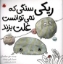 تصویر  ریکی سنگی که نمی توانست غلت بزند (خشتی-شمیز)