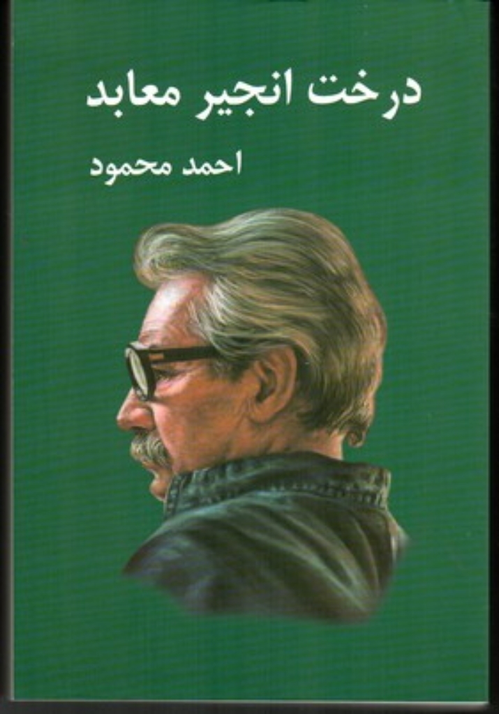 تصویر  درخت انجیر معابد - دوجلدی (رقعی-شمیز)