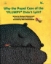 تصویر  why the pupal case of the plumpy  didnt split? (رحلی-گالینگور)
