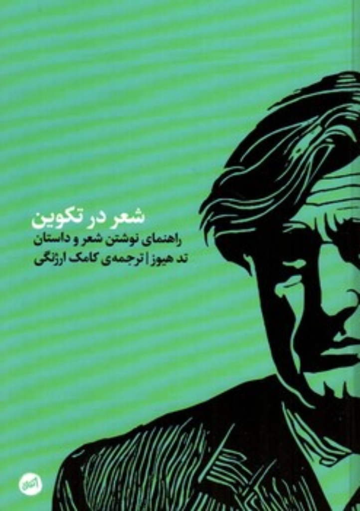 تصویر  شعر در تکوین - راهنمای نوشتن شعر و داستان  (پالتویی-شمیز)