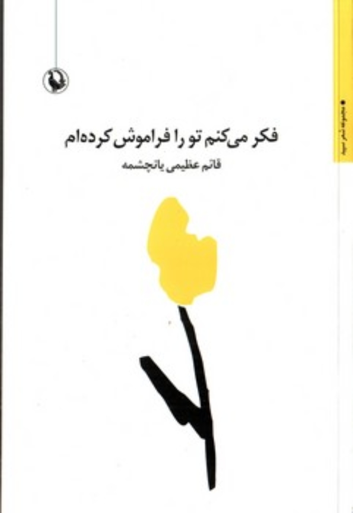 تصویر  فکر می کنم تو را فراموش کرده ام (رقعی-شمیز)
