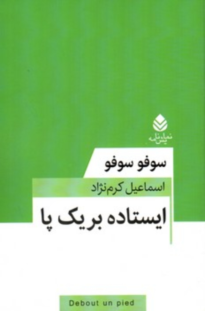 تصویر  ایستاده بر یک پا (رقعی-شمیز)