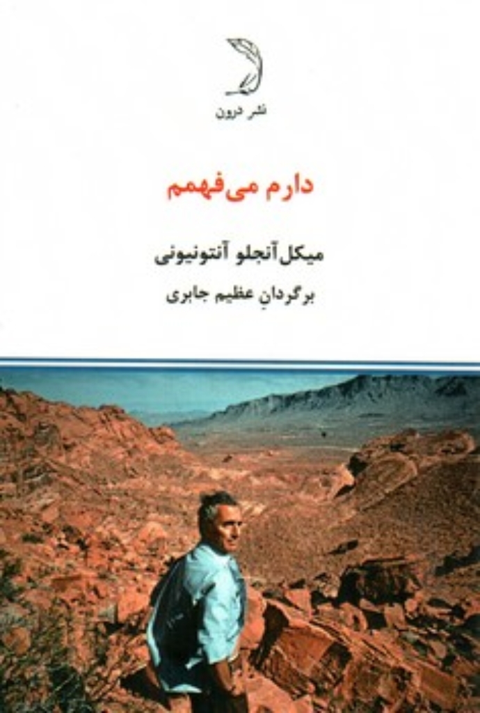 تصویر  دارم می فهمم (جیبی-شمیز)