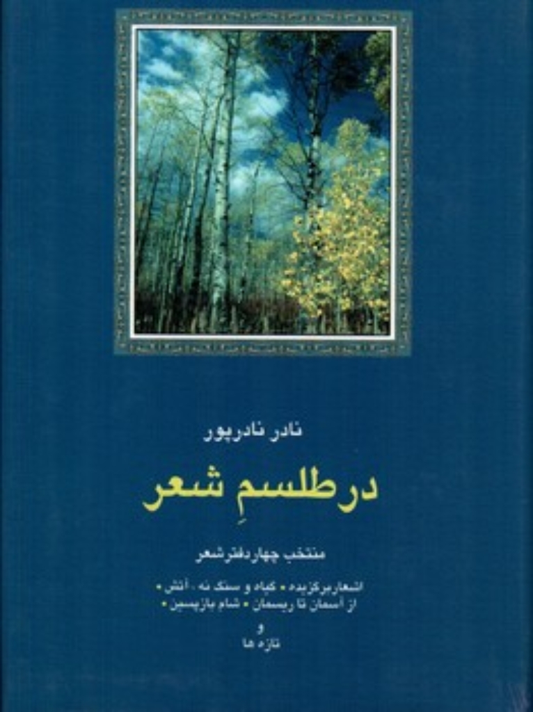 تصویر  در طلسم شعر - منتخب چهار دفتر شعر (رقعی-گالینگور)