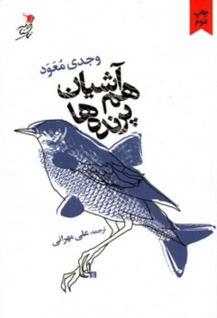 تصویر  هم آشیان پرنده ها (رقعی-شمیز)