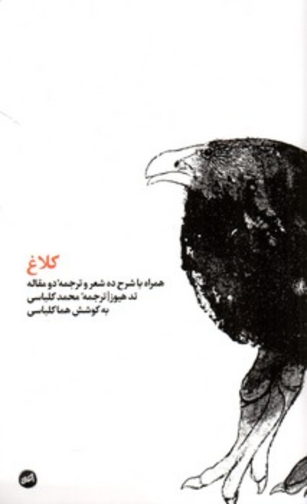 تصویر  کلاغ (پالتویی-شمیز)