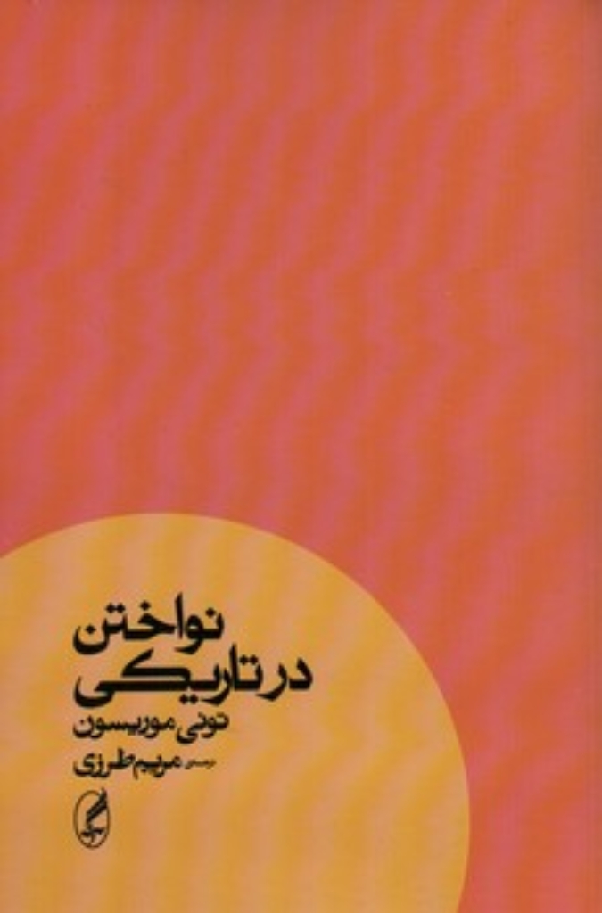 تصویر  نواختن در تاریکی (رقعی-شمیز)