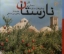 تصویر  نارستان (خشتی-گالینگور)