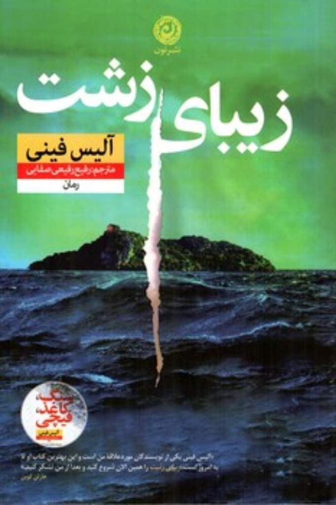 تصویر  زیبای زشت (رقعی-شمیز)