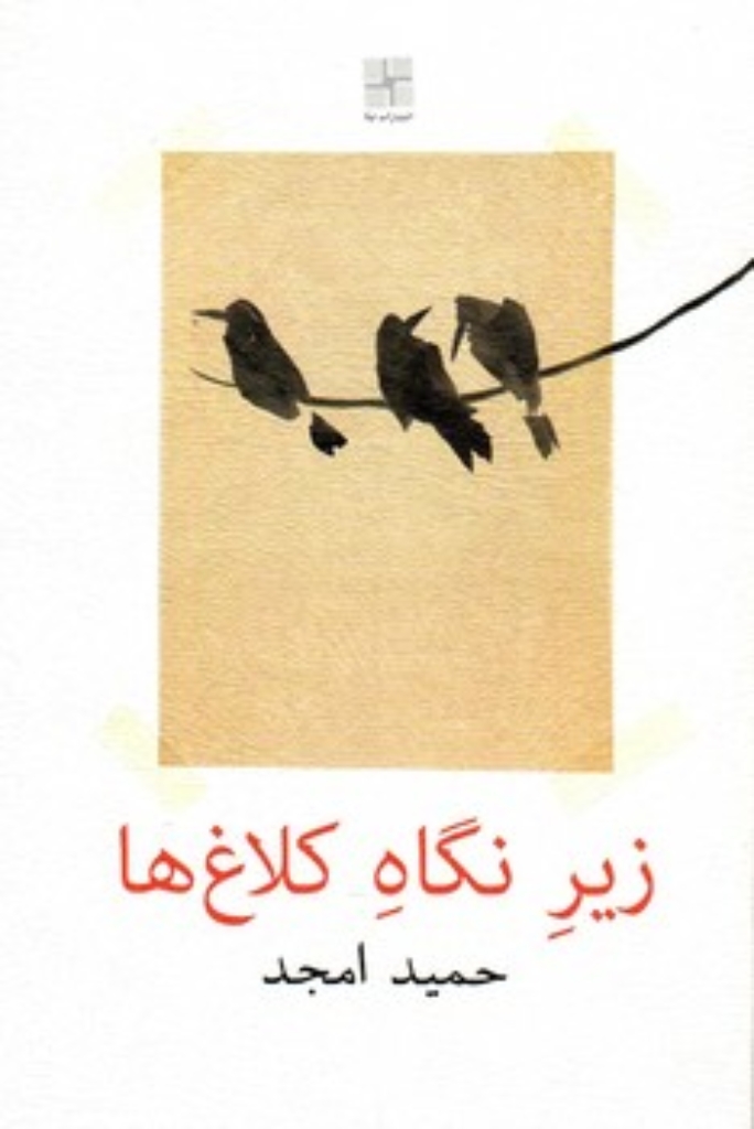 تصویر  زیر نگاه کلاغ ها (رقعی-شمیز)