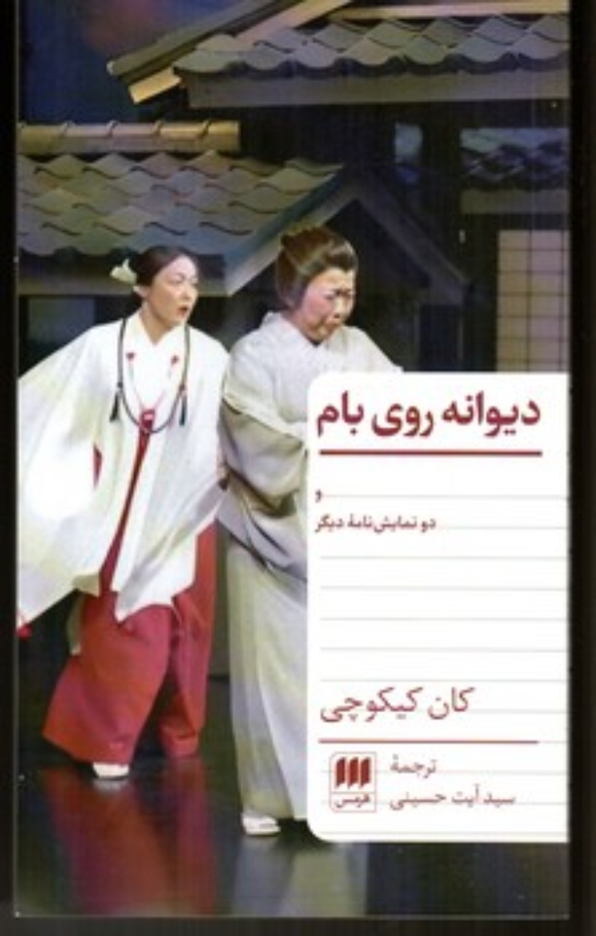 تصویر  دیوانه روی بام (پالتویی-شمیز)