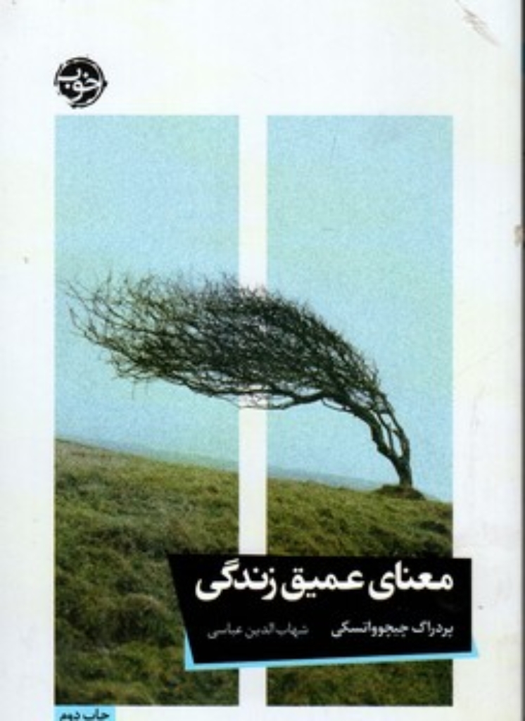 تصویر  معنای عمیق زندگی (رقعی-شمیز)