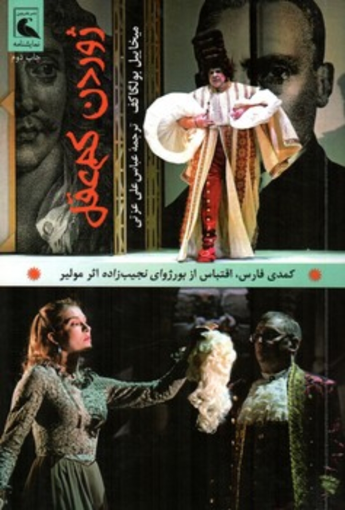 تصویر  ژوردن کم عقل (رقعی-شمیز)