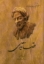 تصویر  قصاید سعدی (رقعی-شمیز)
