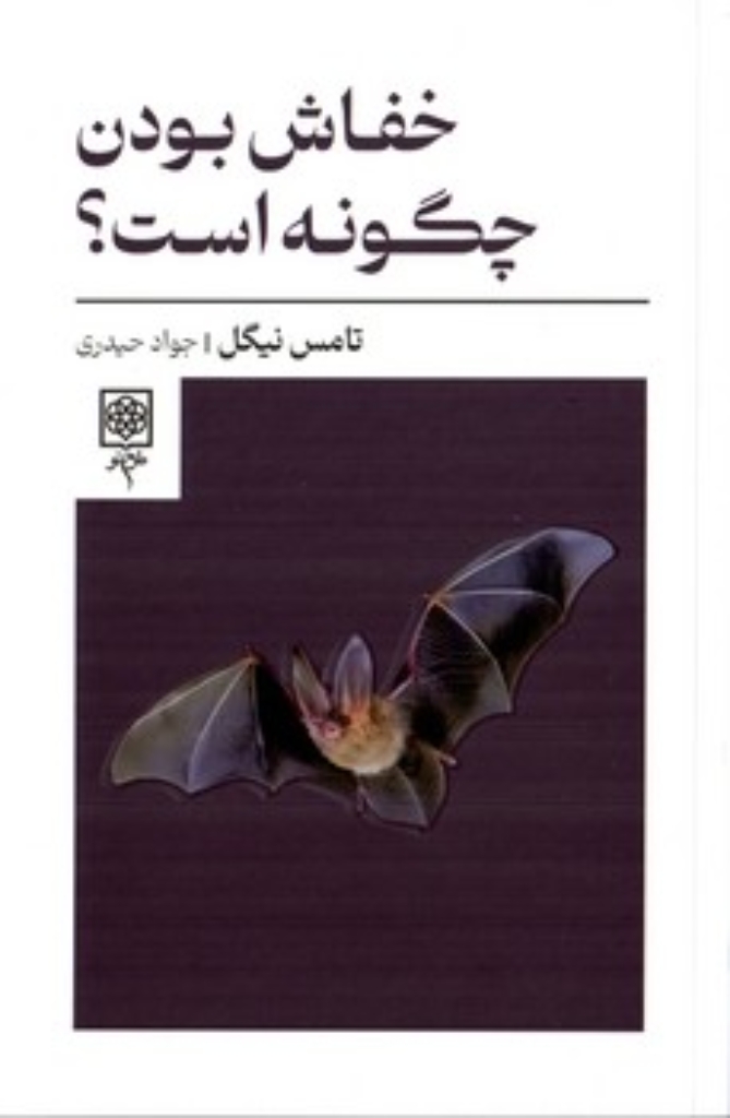 تصویر  خفاش بودن چگونه است؟ (رقعی-شمیز)
